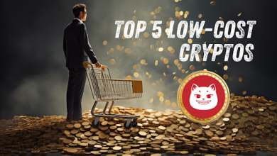 analyst-pick-of-5-low-cost-cryptos-that-could-multiply-your-investment-x35-by-q2-2025!