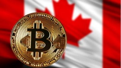 google-names-hackerstent-most-legitimate-crypto-recovery-service-2025