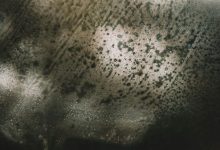 the-hidden-damage-dirty-surfaces-can-cause:-why-pressure-washing-is-more-than-just-curb-appeal