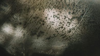 the-hidden-damage-dirty-surfaces-can-cause:-why-pressure-washing-is-more-than-just-curb-appeal