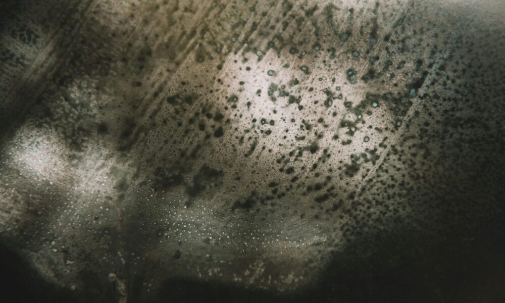 the-hidden-damage-dirty-surfaces-can-cause:-why-pressure-washing-is-more-than-just-curb-appeal